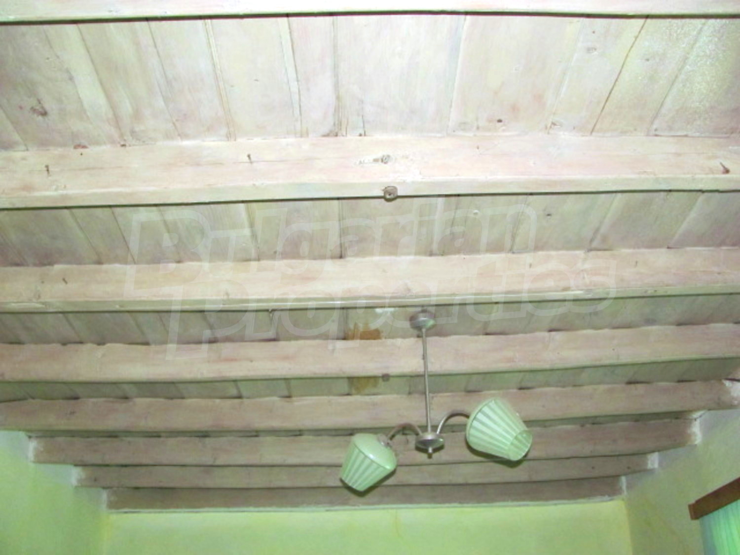 Gallery Picture 17
