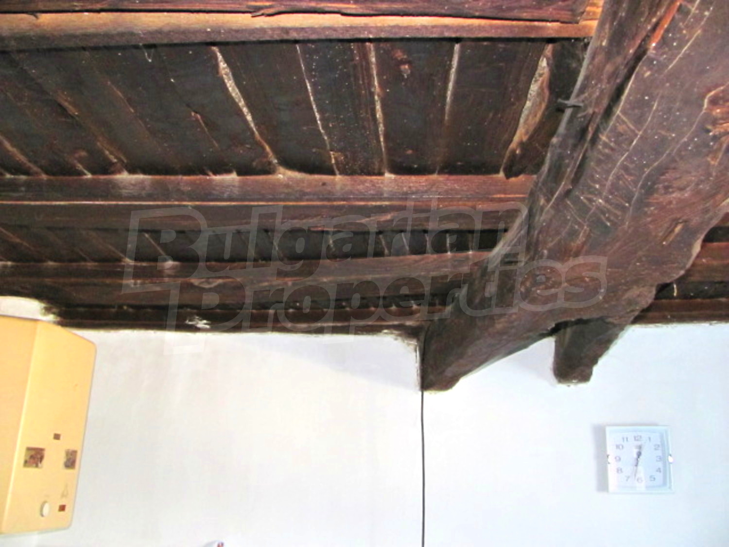 Gallery Picture 24