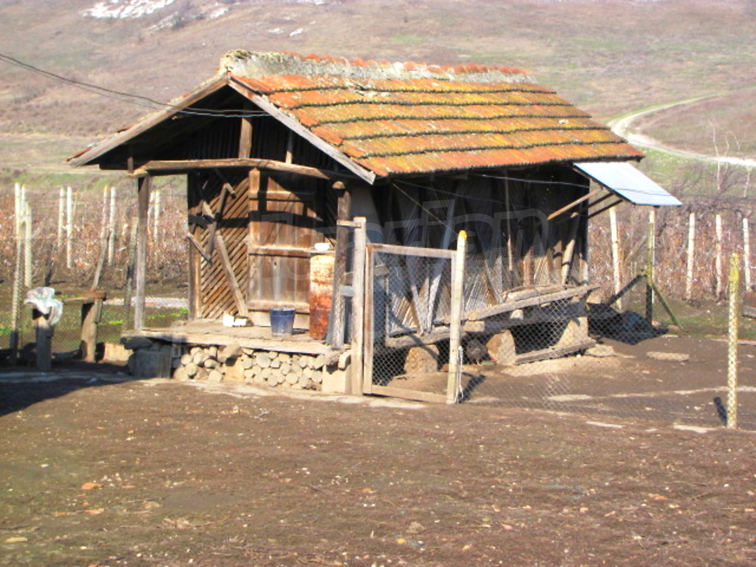 Gallery Picture 36