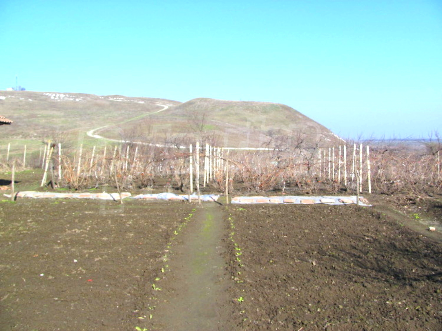 Gallery Picture 37