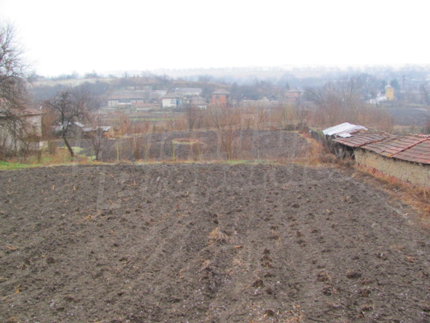 Gallery Picture 20