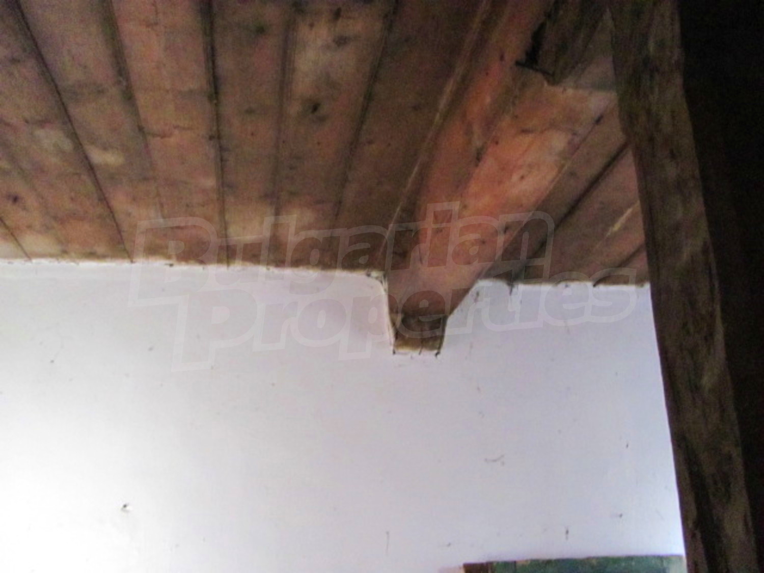 Gallery Picture 10