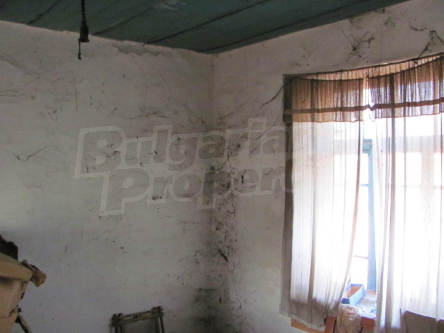 Gallery Picture 13