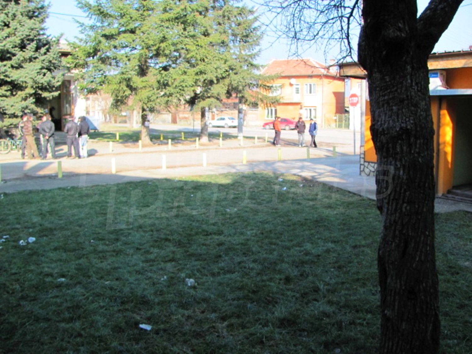 Gallery Picture 16