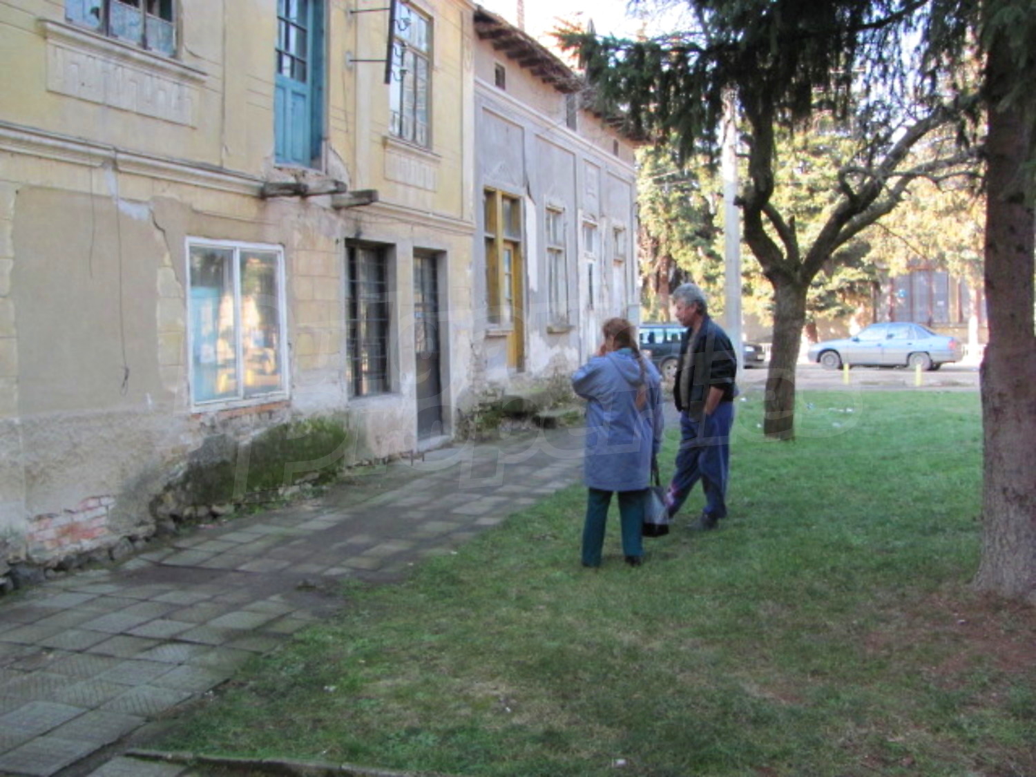 Gallery Picture 17