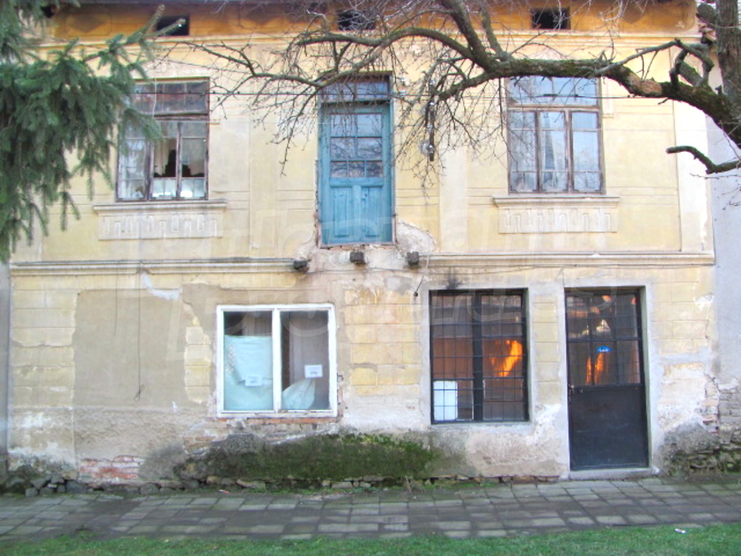 Gallery Picture 6
