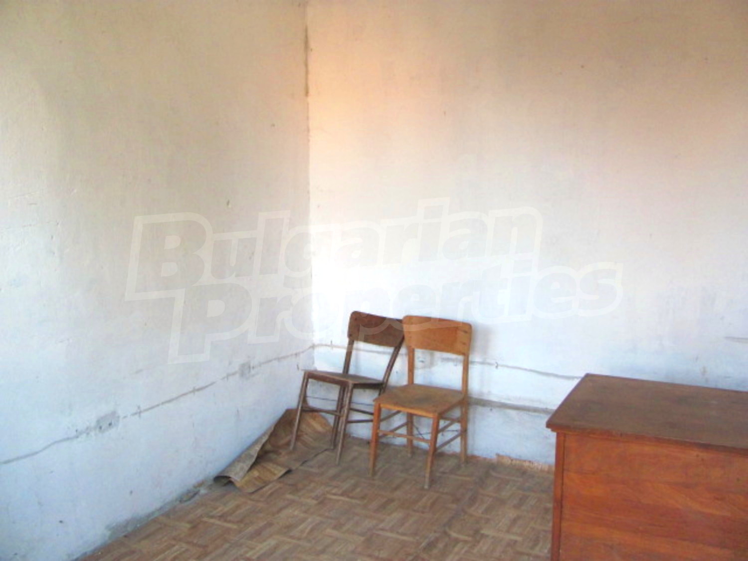 Gallery Picture 7