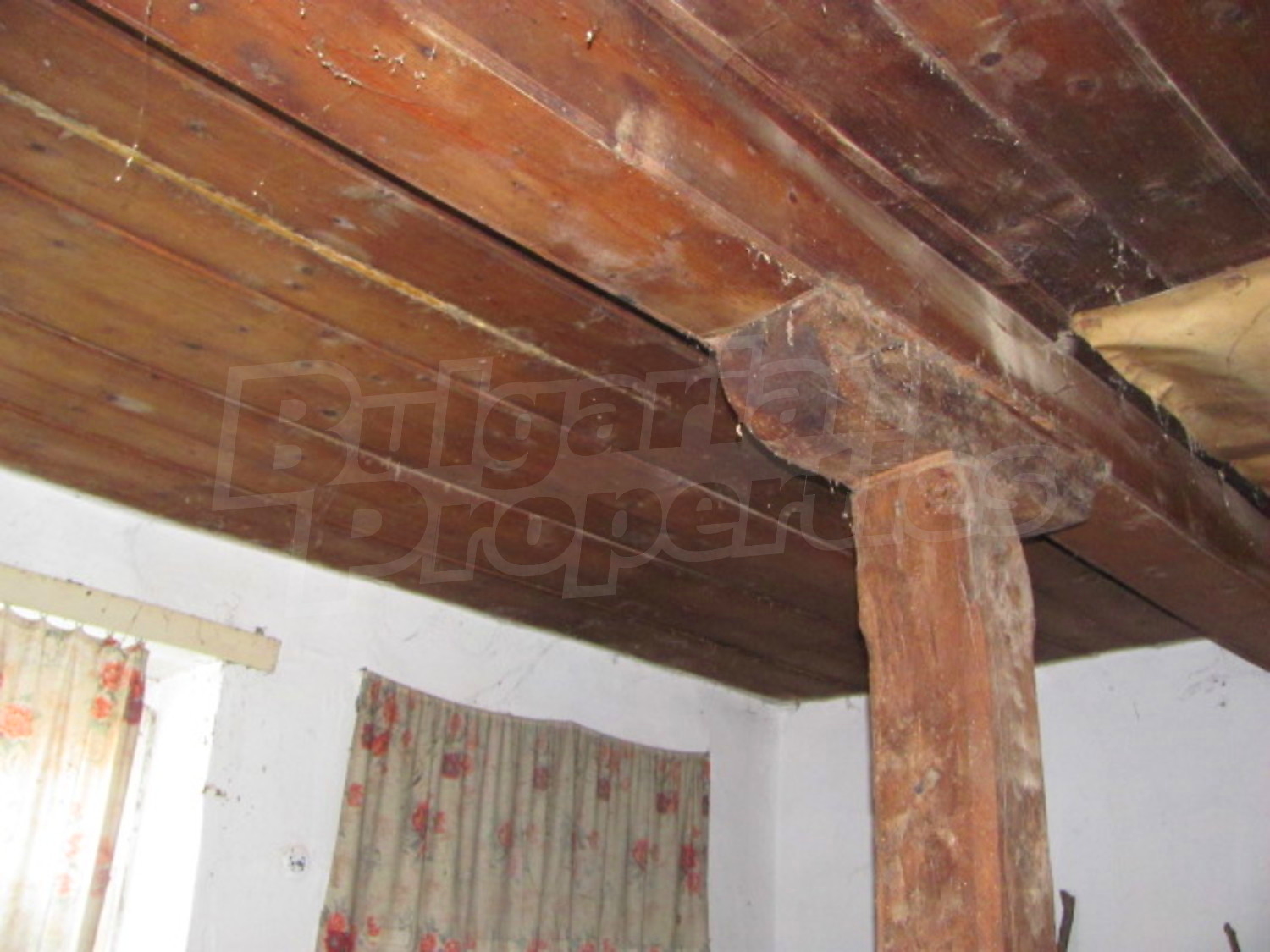 Gallery Picture 9