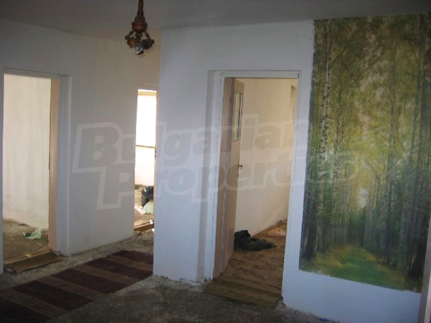 Gallery Picture 6