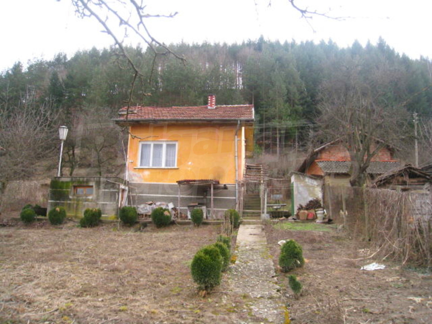 Gallery Picture 12