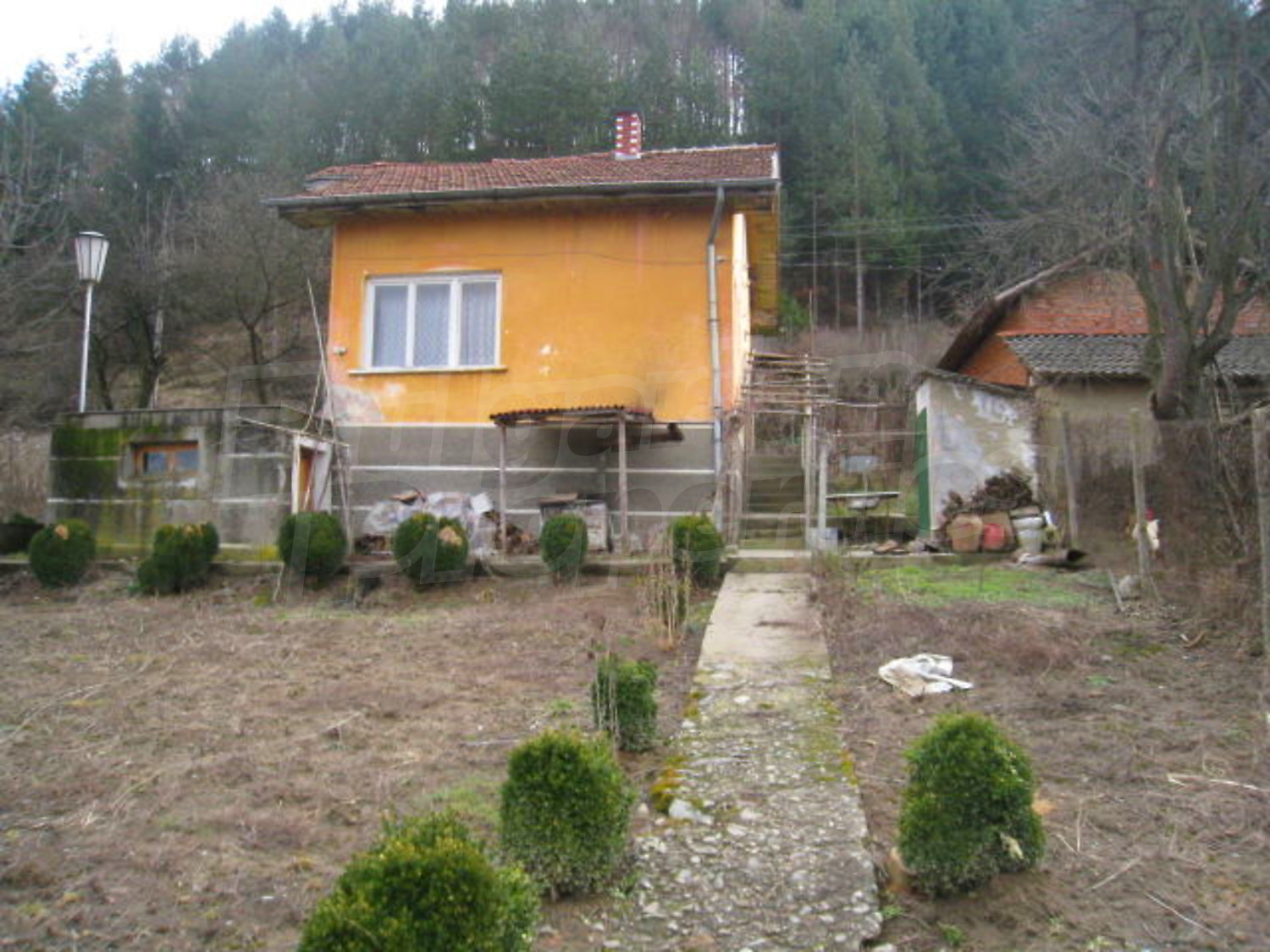 Gallery Picture 13