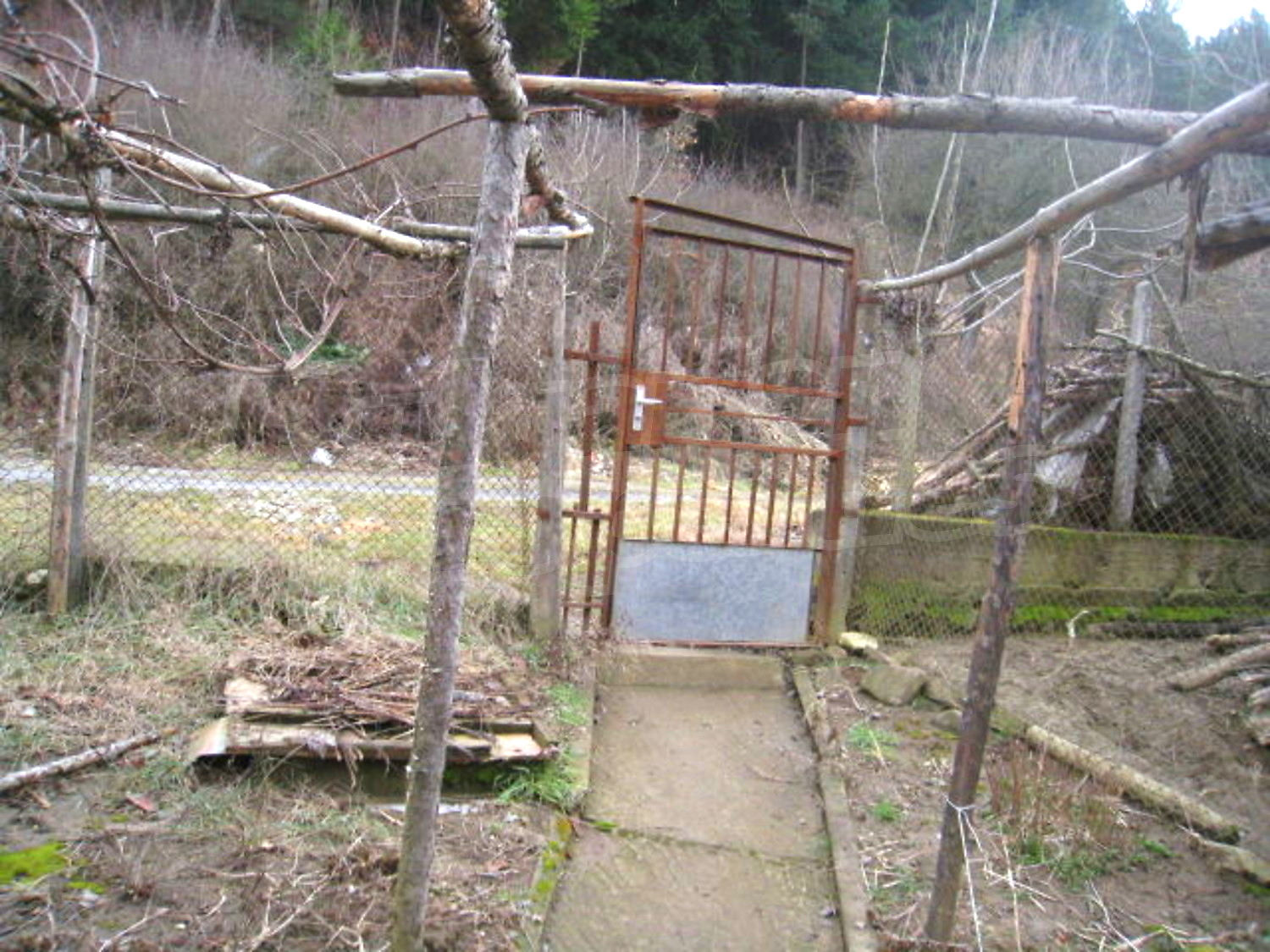 Gallery Picture 14