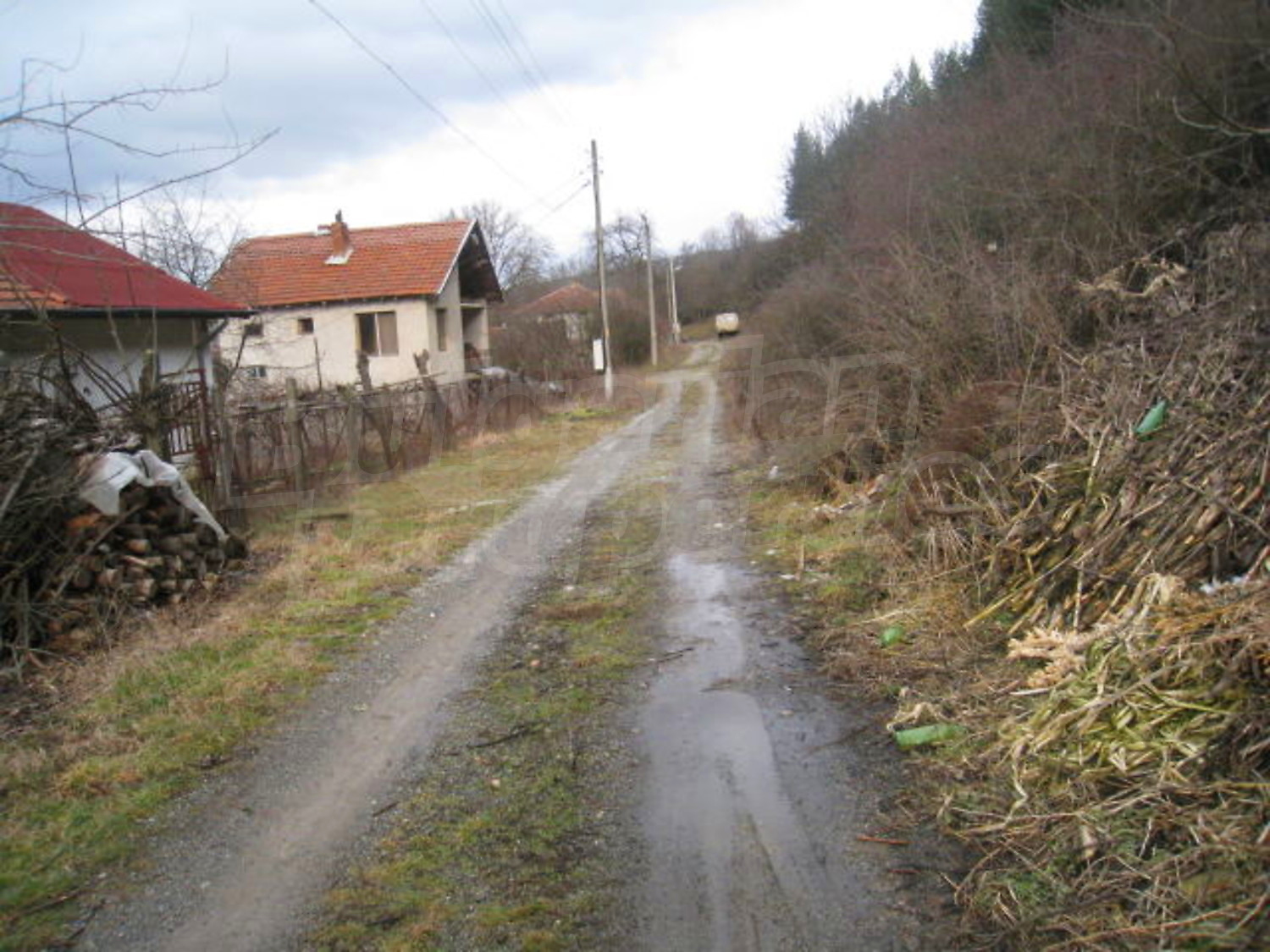 Gallery Picture 18