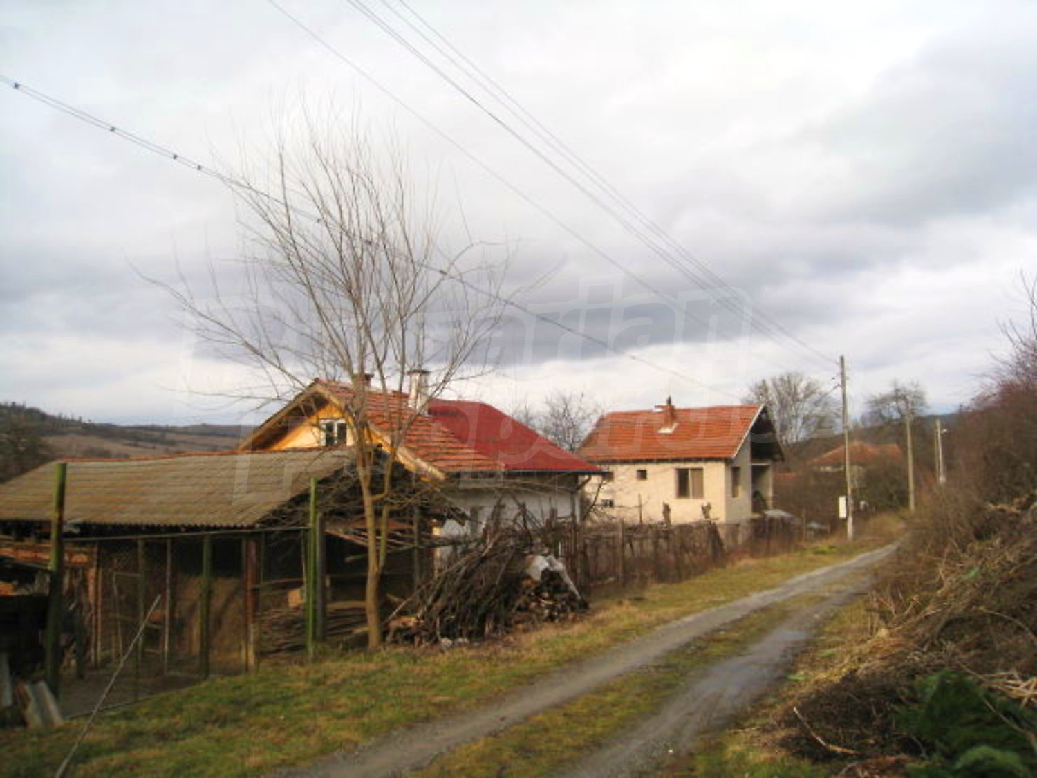 Gallery Picture 19