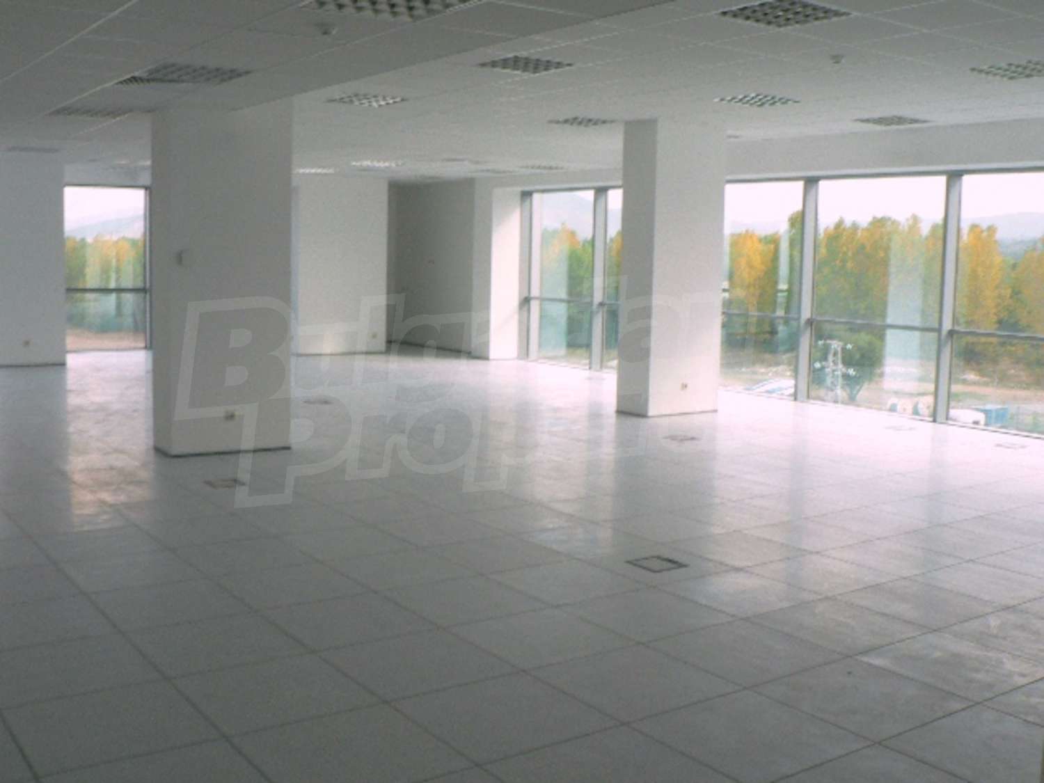 Gallery Picture 7