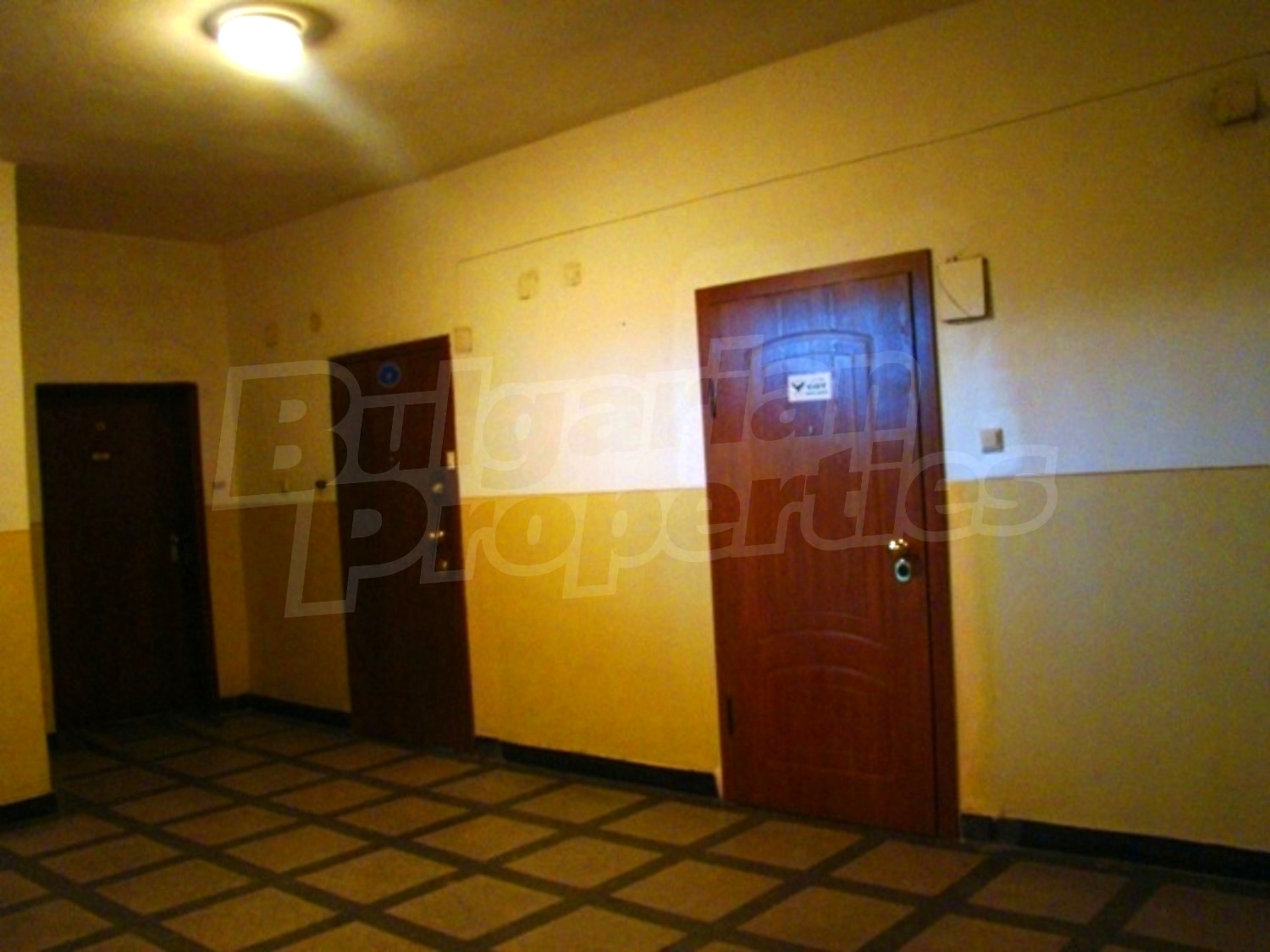 Gallery Picture 18