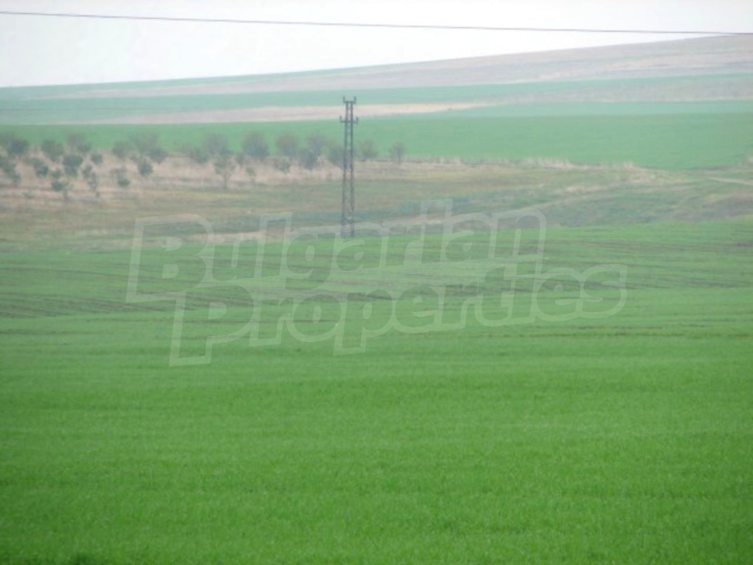 Gallery Picture 10