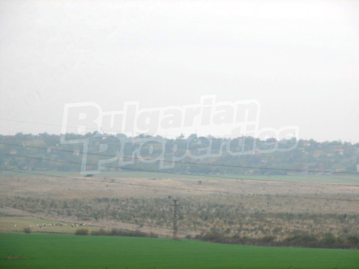 Gallery Picture 11