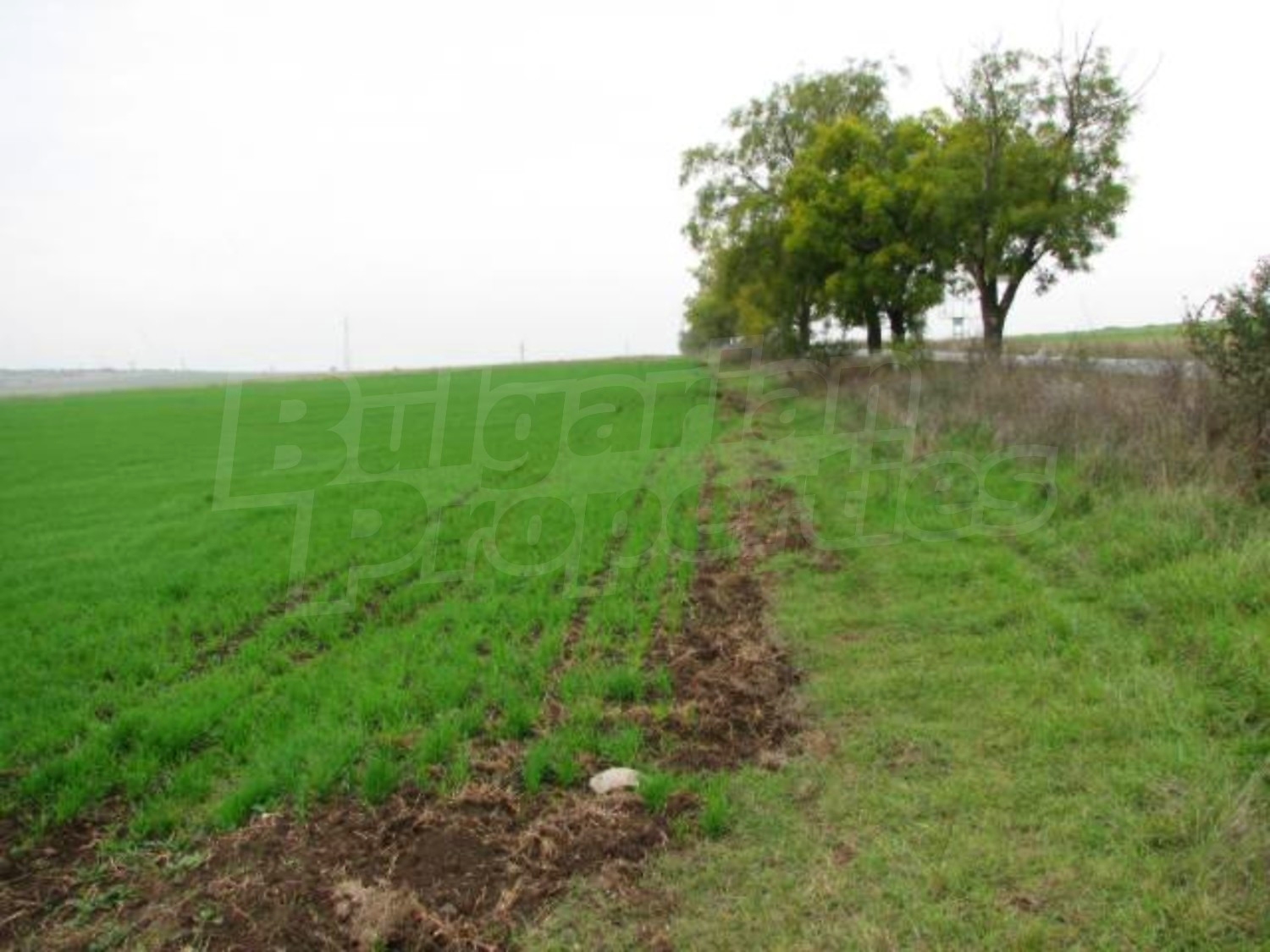 Gallery Picture 7
