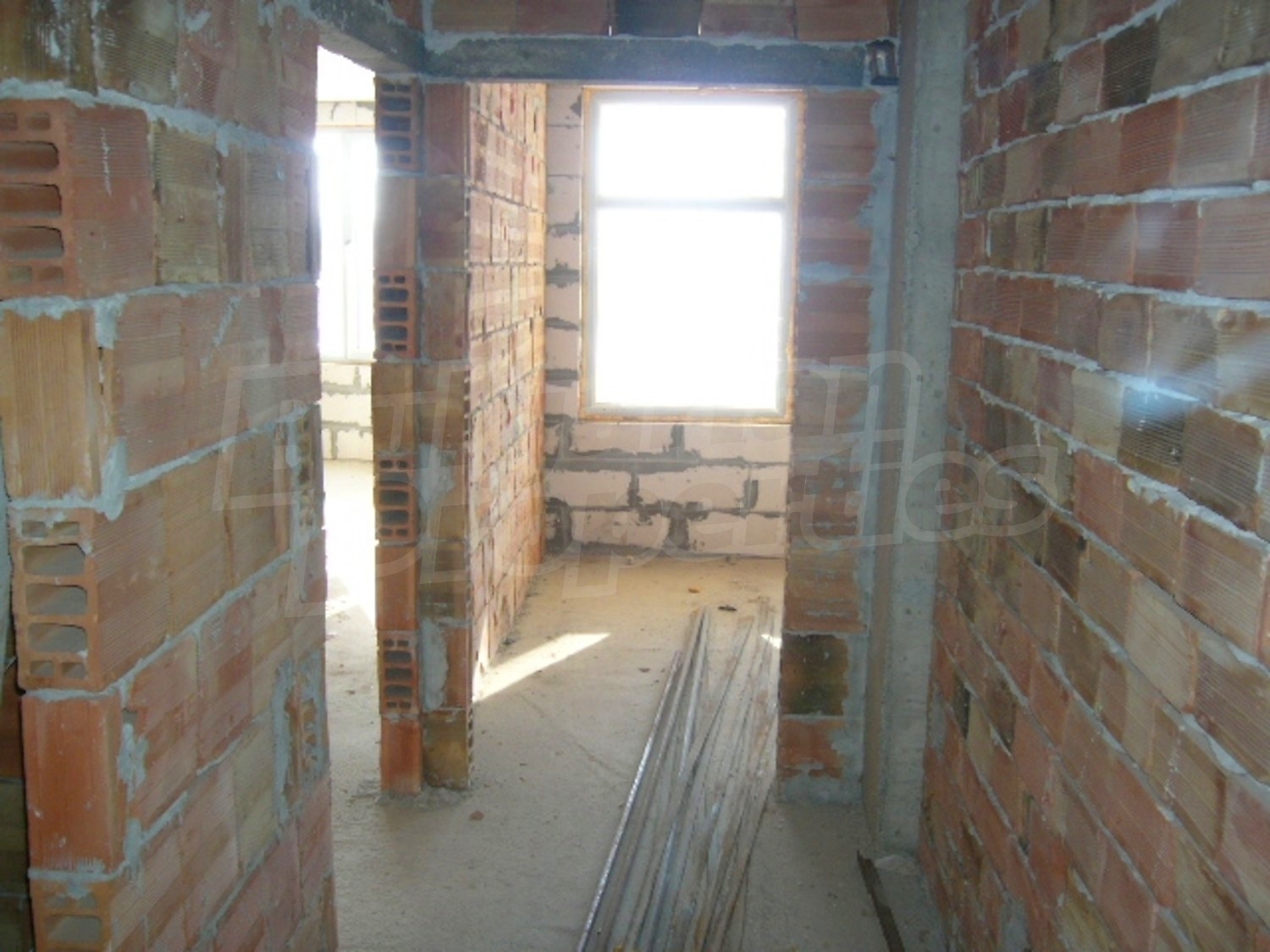 Gallery Picture 12