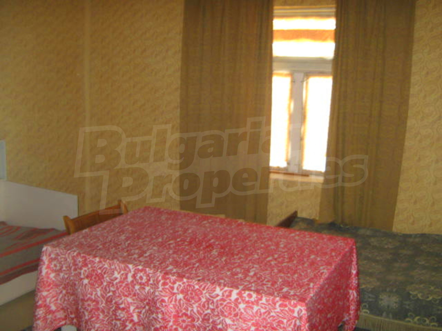 Gallery Picture 11