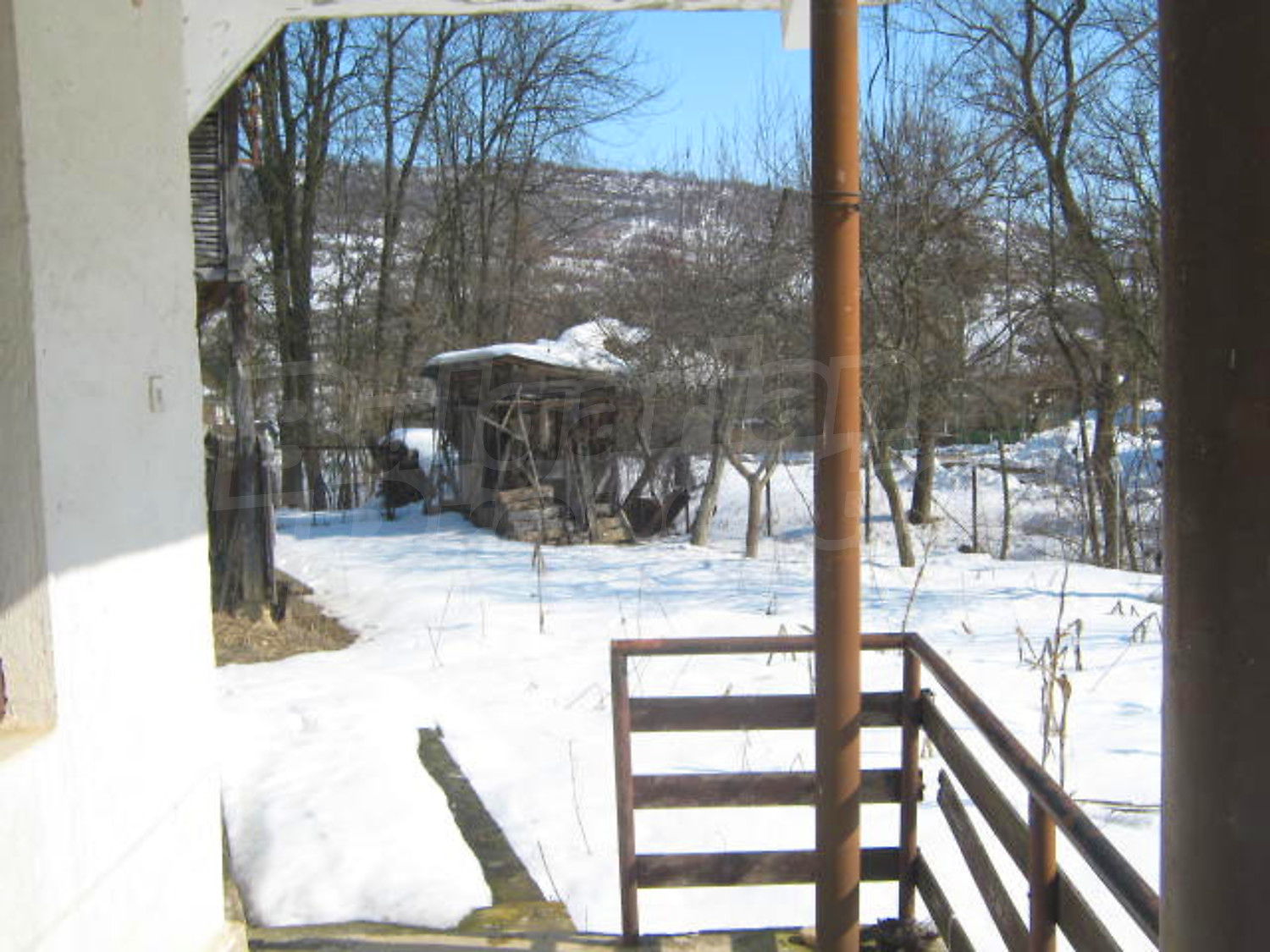 Gallery Picture 14