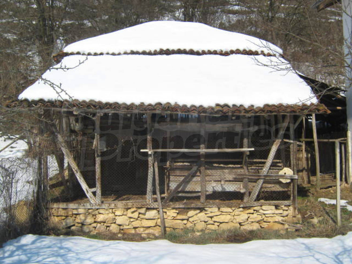 Gallery Picture 18