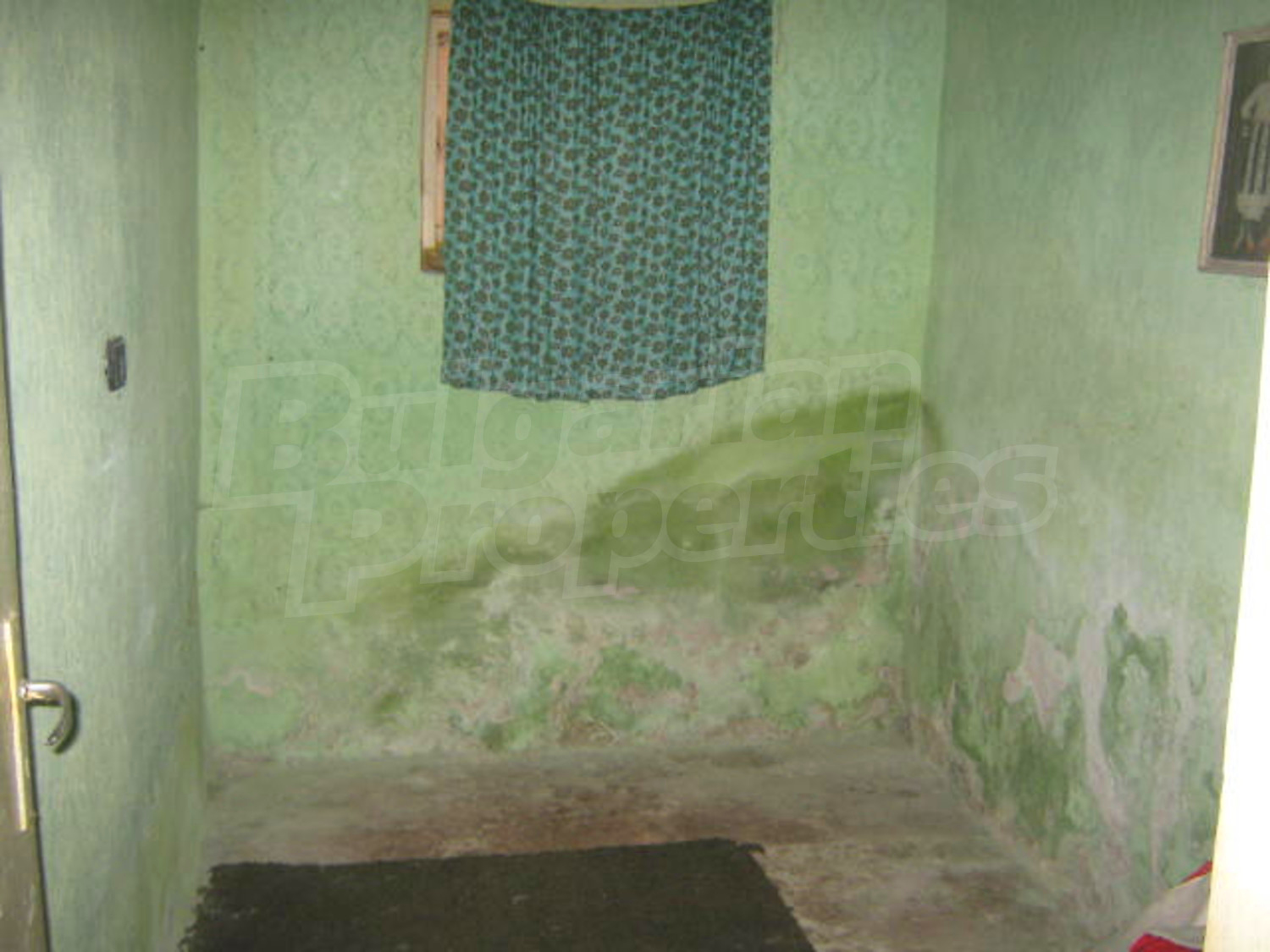 Gallery Picture 9