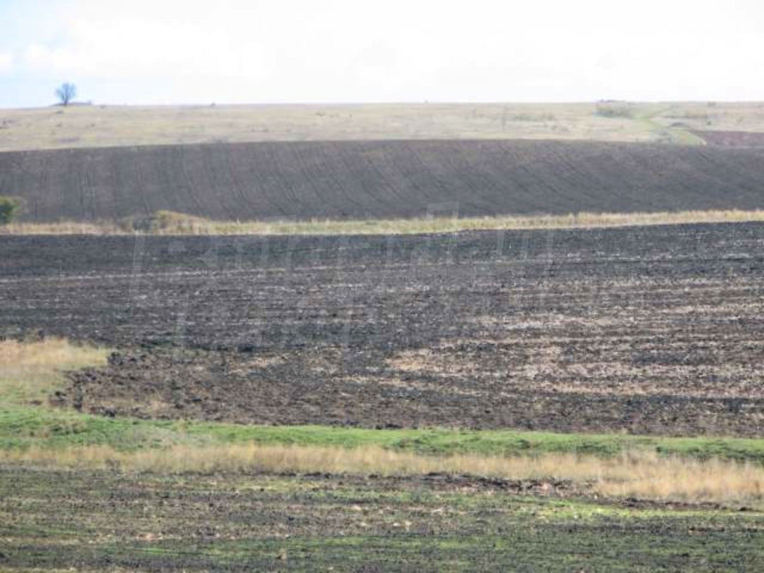 Gallery Picture 21