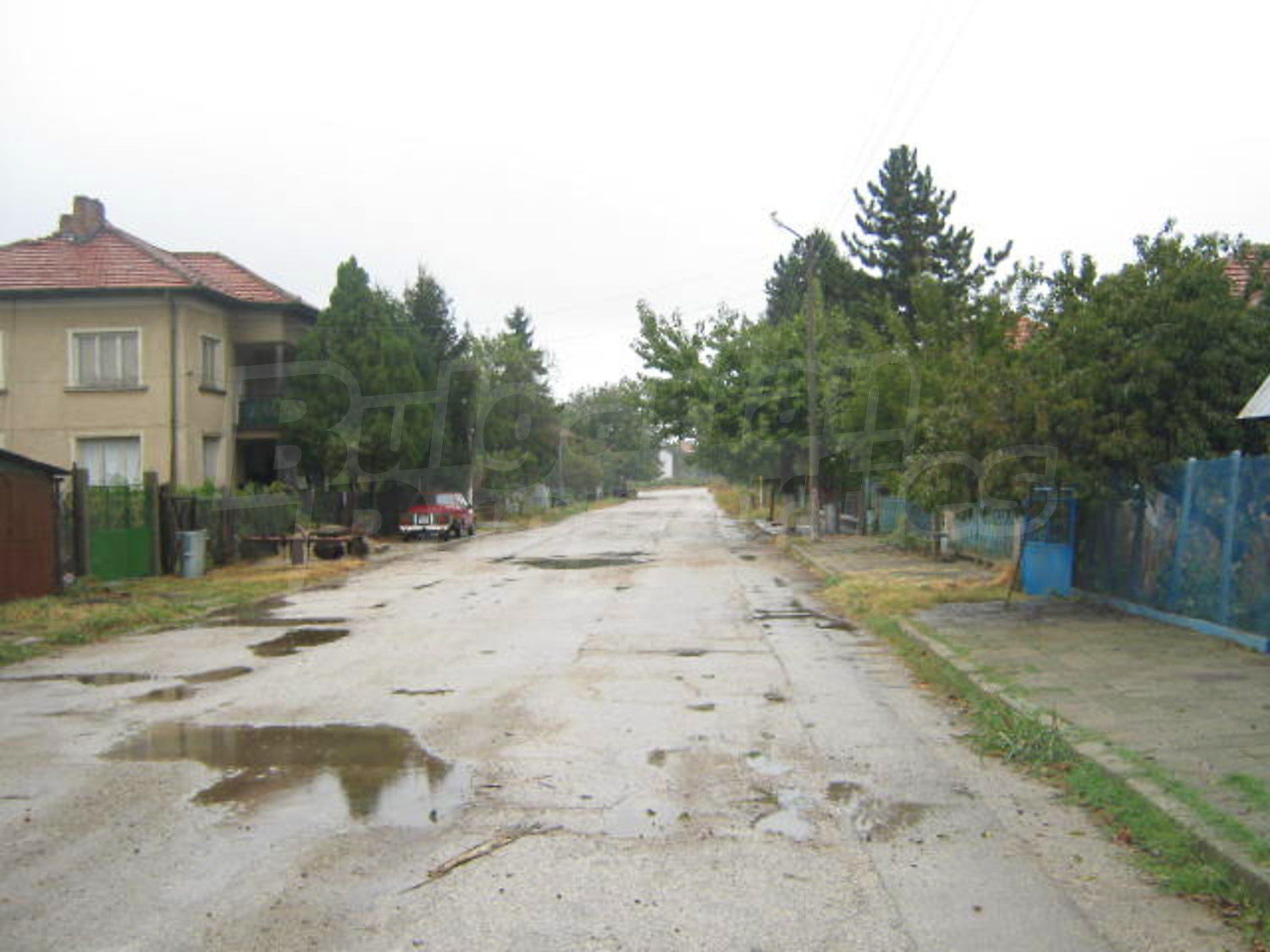 Gallery Picture 12
