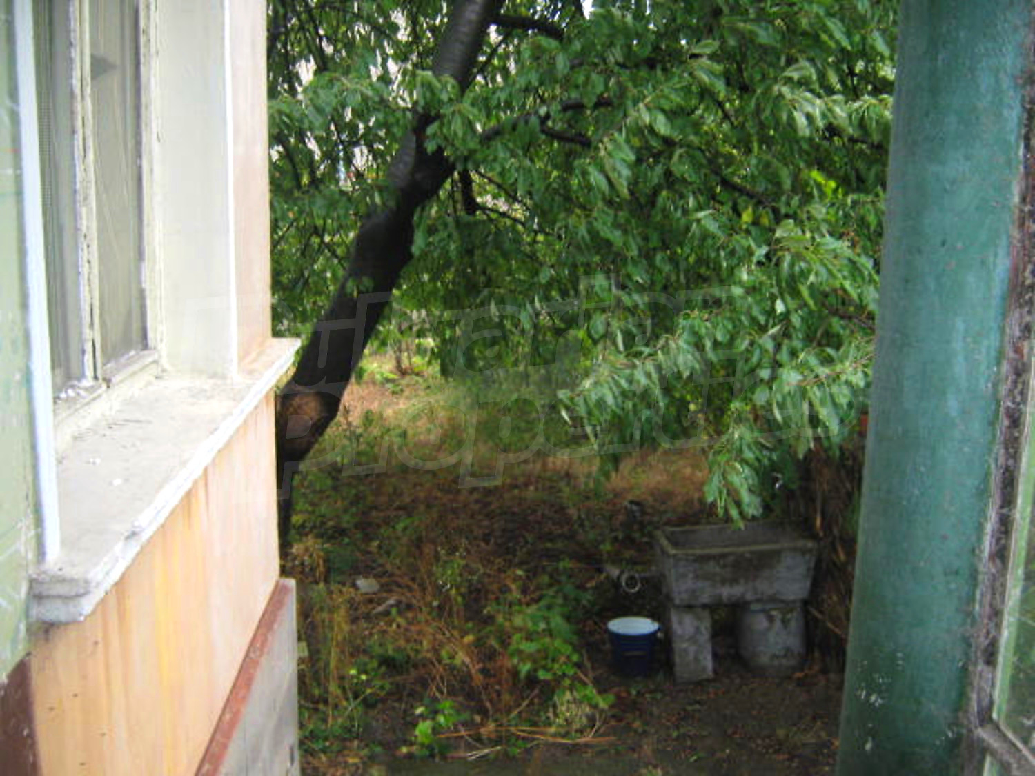 Gallery Picture 8