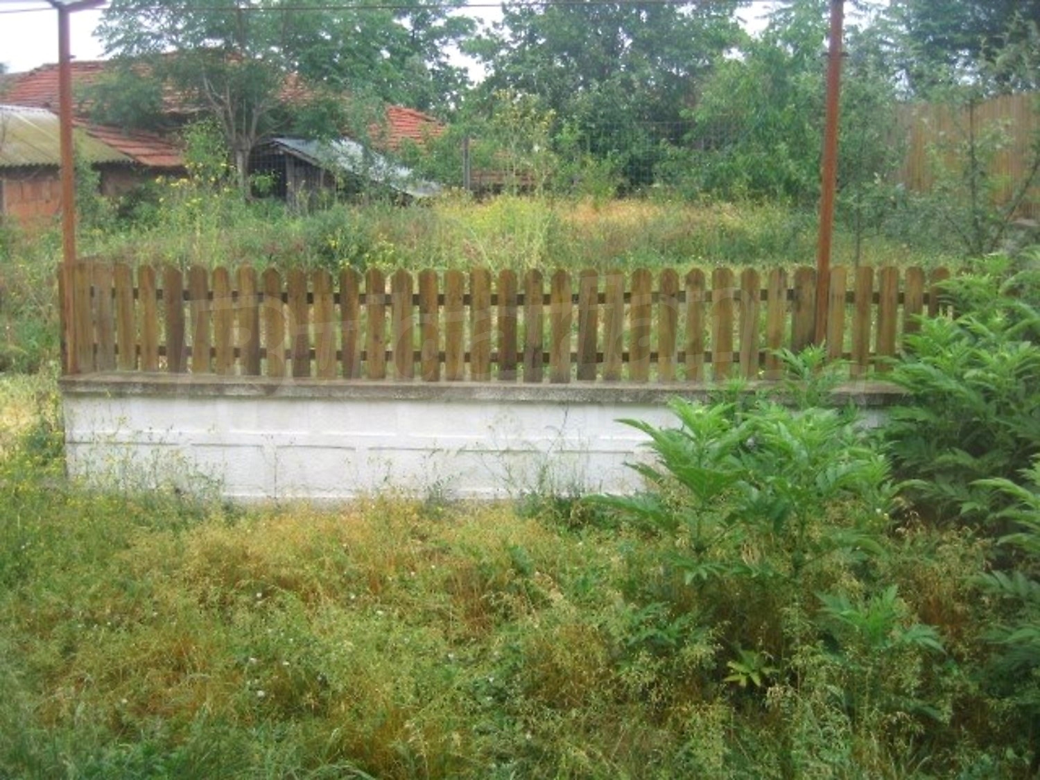 Gallery Picture 15
