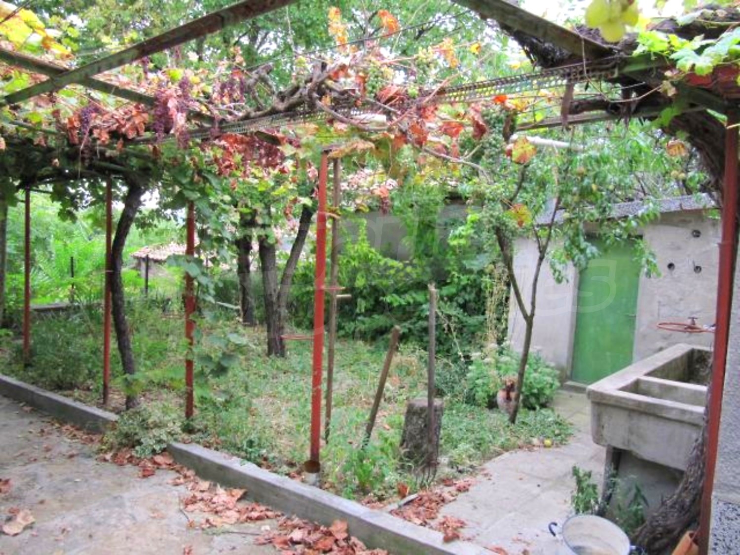 Gallery Picture 16