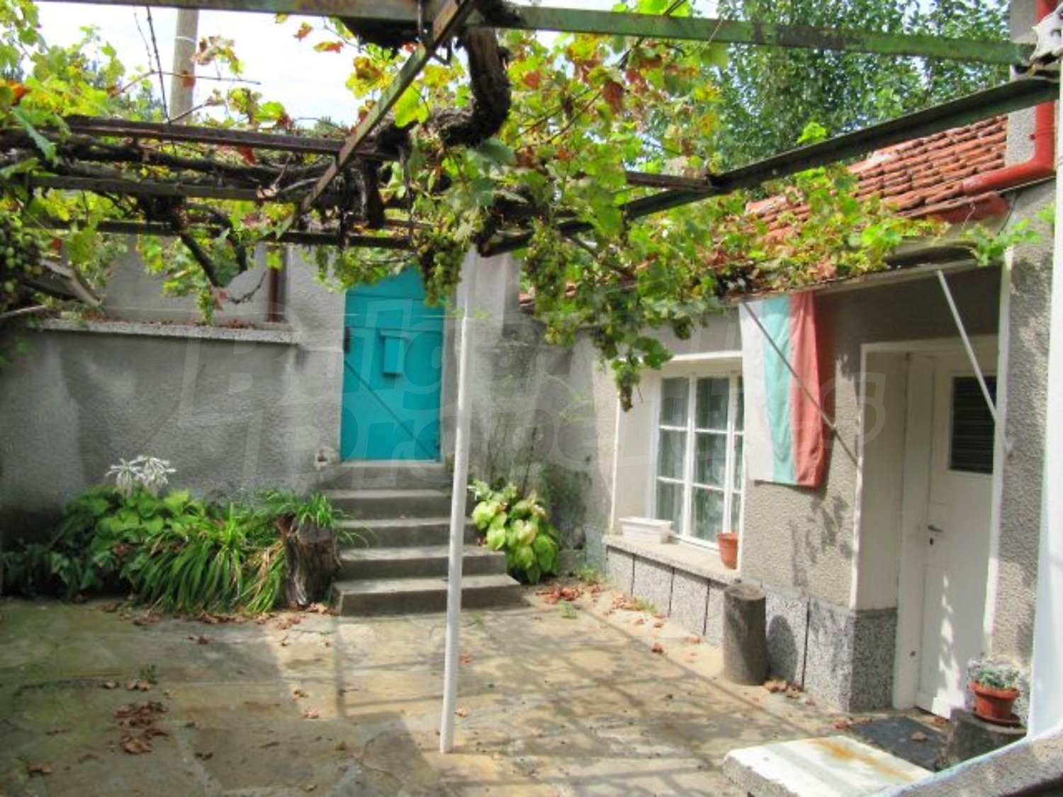 Gallery Picture 19