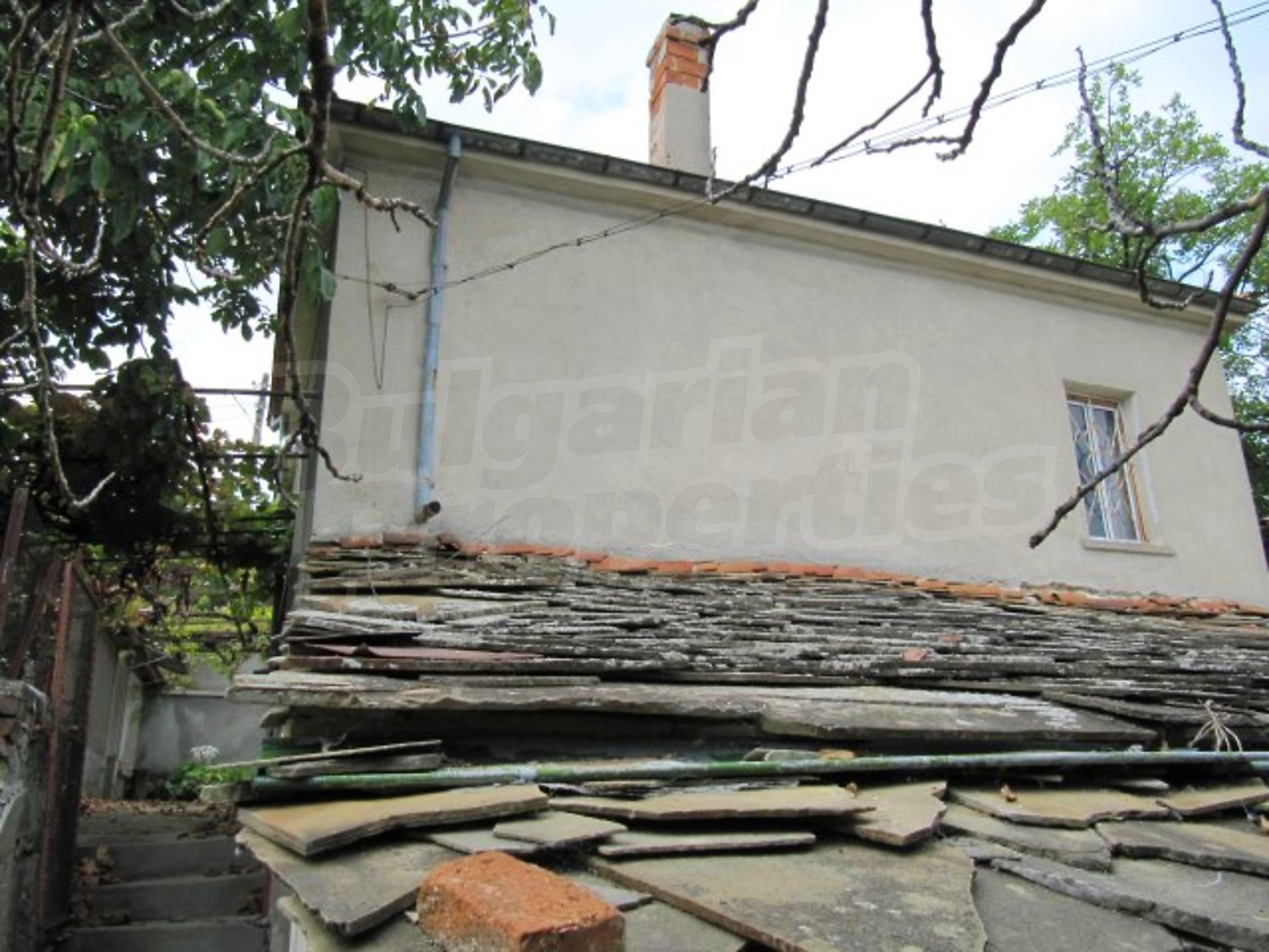 Gallery Picture 5