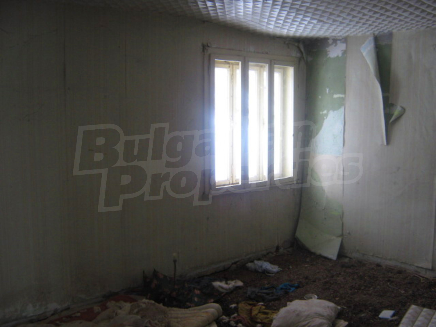 Gallery Picture 4