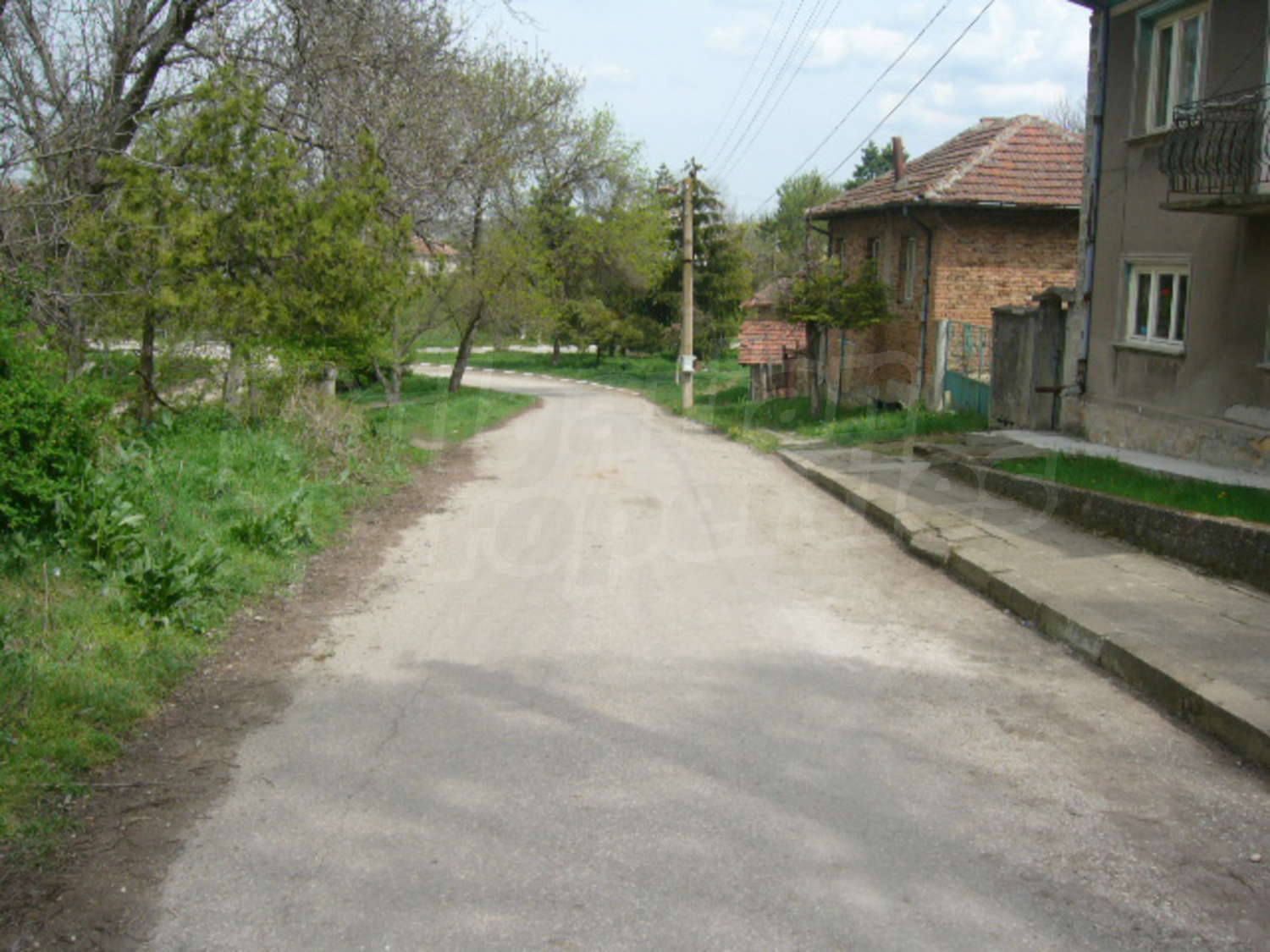 Gallery Picture 7