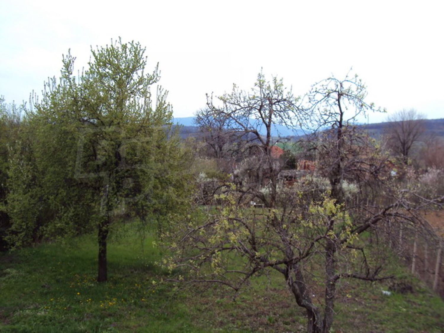 Gallery Picture 27