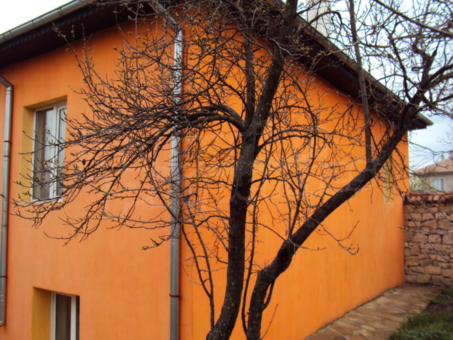Gallery Picture 33