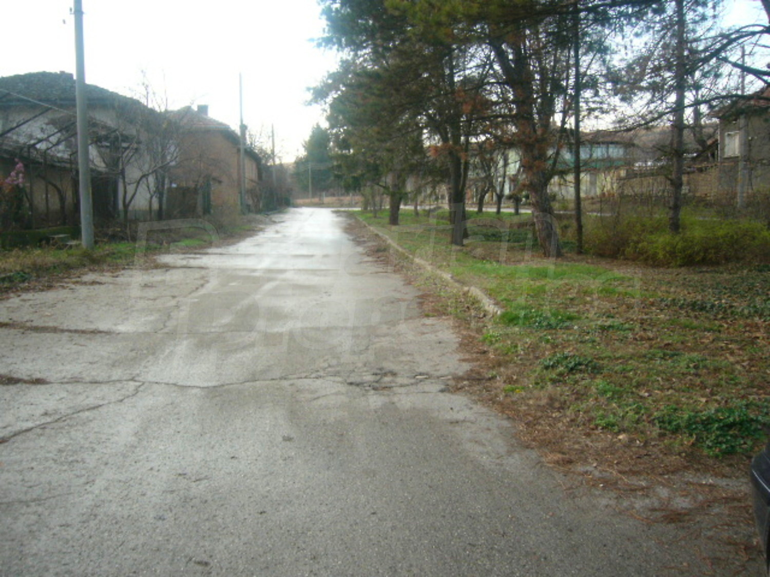 Gallery Picture 17