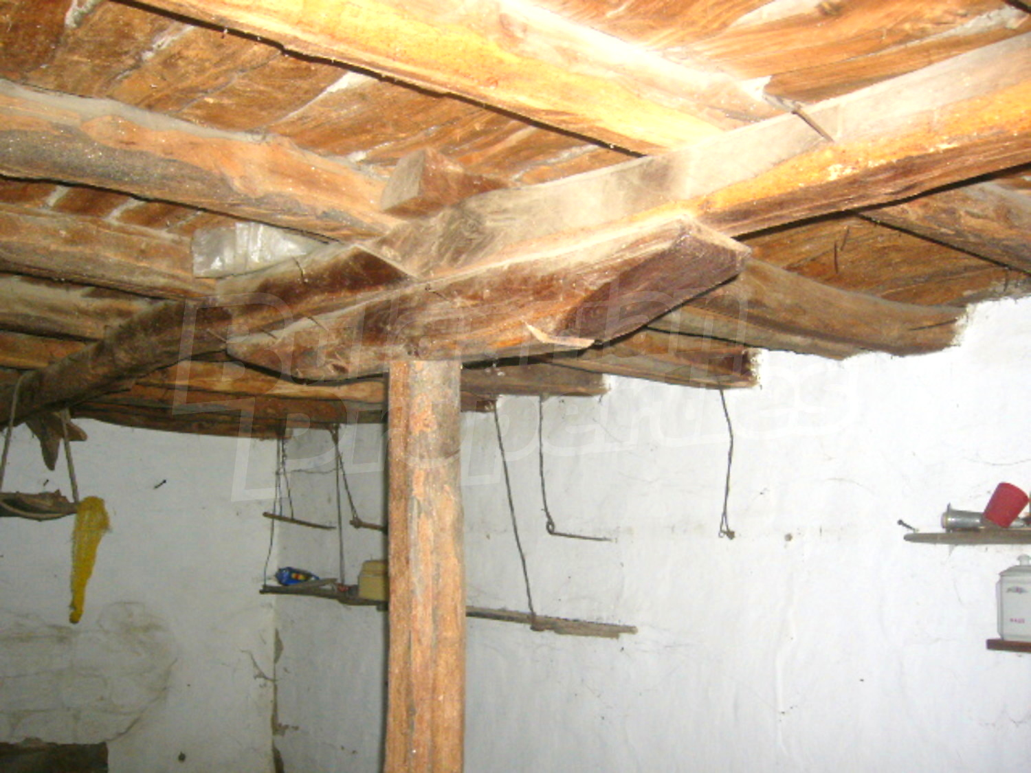 Gallery Picture 5