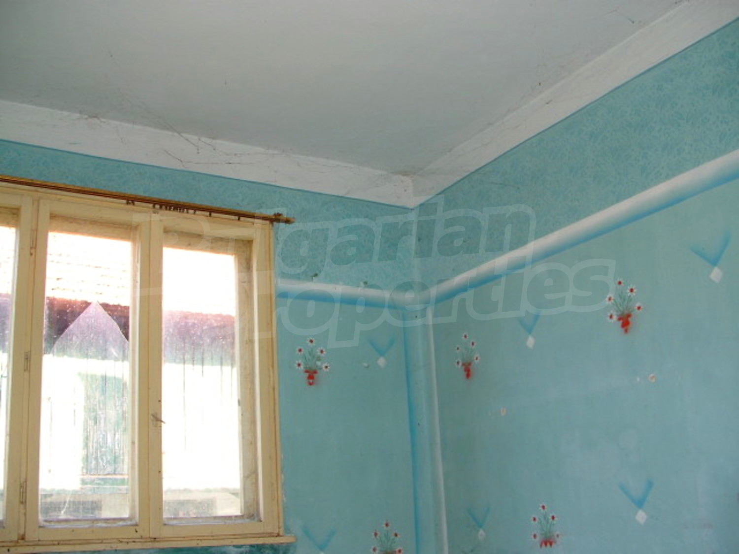 Gallery Picture 6