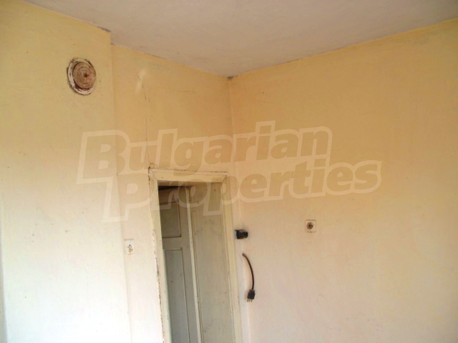 Gallery Picture 8