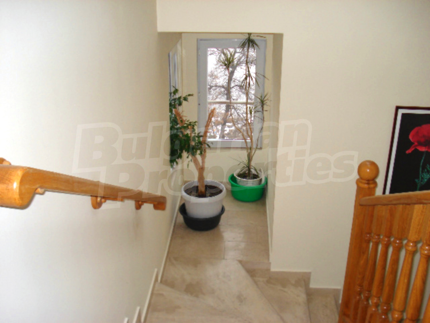Gallery Picture 15