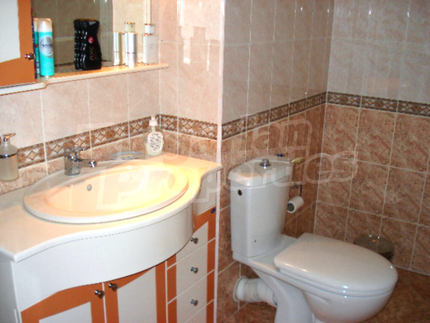 Gallery Picture 20