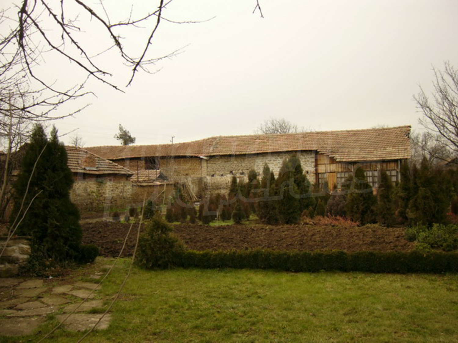 Gallery Picture 13