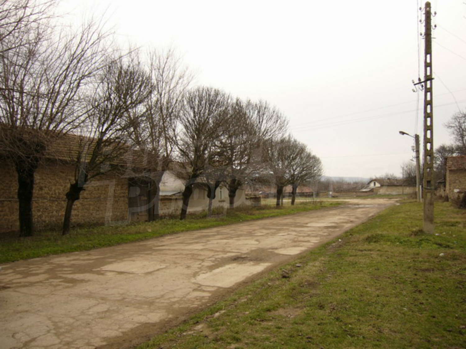 Gallery Picture 14