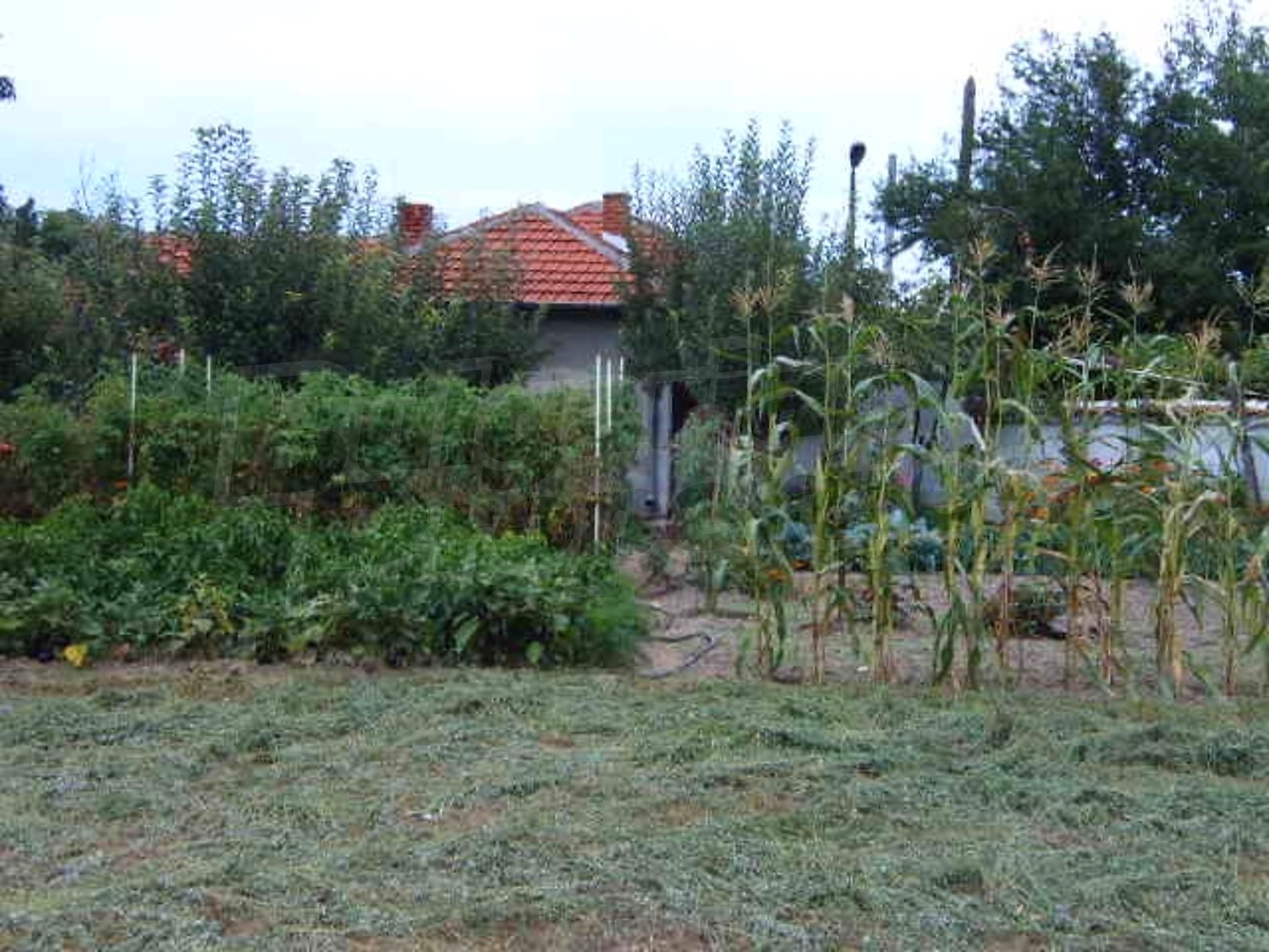 Gallery Picture 11
