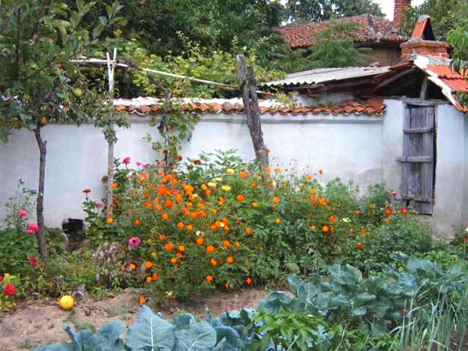 Gallery Picture 12