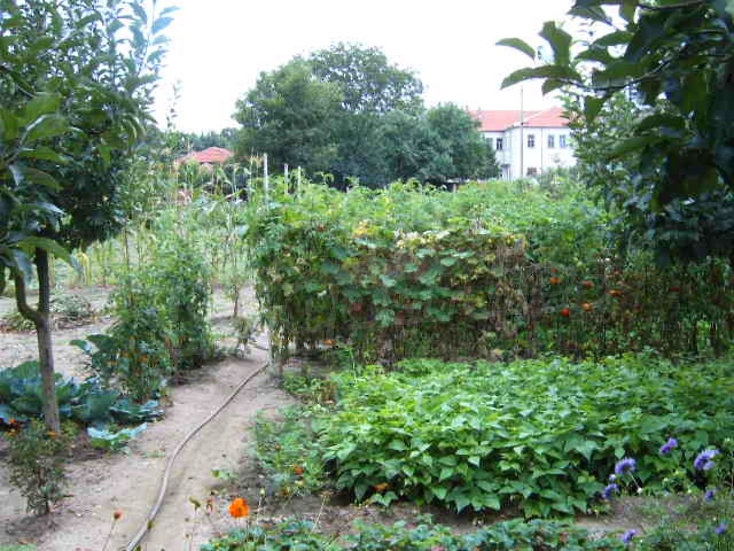 Gallery Picture 9